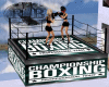 Professional Boxing Ring