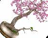 Flower Bonsai Tree &Bird