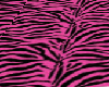 Pink Zebra Rug