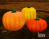 Iv"Pumpkins