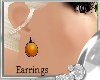 (BB)Sunset Earrings