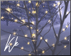 [kk]Winter Moon/Branches