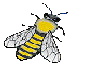 Bee11