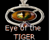 Eye of the Tiger