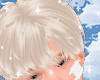 Wen Blonde