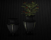 Dark Eternal Vases