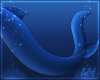 Bohnes | Shark Tail A