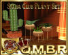 QMBR Salsa Club Plant St