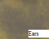 Eternity Wolf Ears
