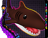 🦈 Shark Plush | Brown