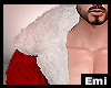 Emi Christmas Coat