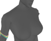 Rainbow Armbands F
