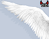 D. Angel Wings!
