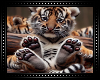 🐅 Tiger Baby BG