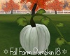 Fall Farm Pumpkin 18