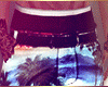 ☼ Lupo Beach Shorts