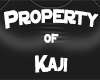 Property of Kaji