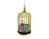 Birdcage Cuddle