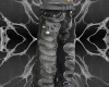 snake pants