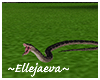 African Slithering Snake