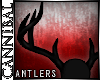 Wendigo Antlers