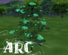 ARC Teal Roses
