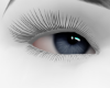 S.  Ash Blue Eyes