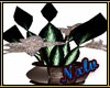 NM:Brownie AMode Plant