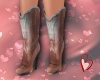 Western Boots Classic
