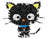 Black Glitter Cat