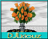 DJL-Fl Orange Tea Roses