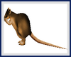 RAT (ANIMATED)