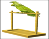 Animated Parrot W/Sound