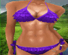 {CL}Purple Ruffle Bikini