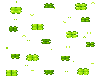 Shamrocks