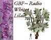 GBF~ White Lilac Radio