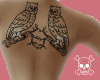 [PV]OwlBranch Back Tat