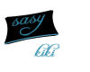 lg. pillow sasy