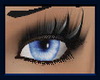 !~TC~! Adorable Blue Eye