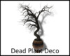 *Dead Plant Deco