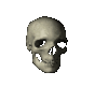 skully