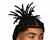 PALM TREE LOCS