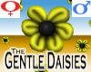 Gentle Daisies -v1