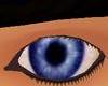 [SK019]Even Blue Eyes