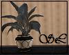 *SL*Black Potted Plant