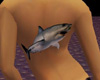 (F) shark back tattoo