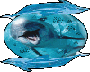 Dolphin Globe2