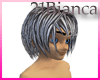 21b-silver hair