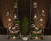 Shelves Plants 2