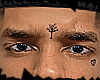 XXX  tree TAT (asteri)